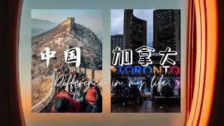 生活在中国和加拿大生活有什么不一样? 工作生活全都有, 全方位客观讨论两边差异 | 加拿大移民