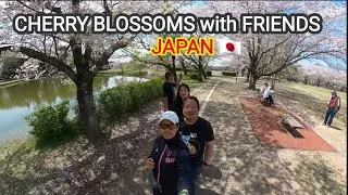Sakura Blossoms with Friends