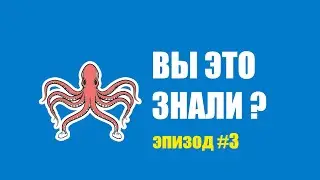Любопытные факты: выпуск #3