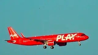 Rare Play Air A321 From Cuba Screaming Falcon 2000 TPA