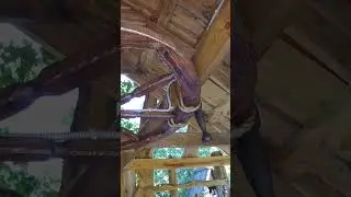 Усадьба Лебедь Турочак Республика Алтай Часть 327 #Shorts