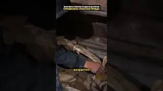 Эта находка в пещере шокировала ученых