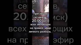 прямой эфир сегодня в 20-00 по МСК "личный разбор"