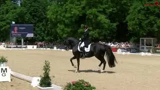 Total Hope OLD placeret som nr. 2 i Wiesbaden CDI4* Grand Prix Special