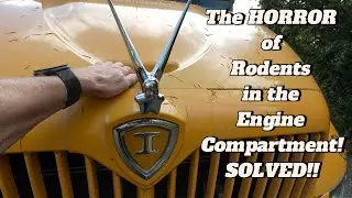 Stop Rodents Rats Mice from Damaging your Vehicles Engine Compartment! 