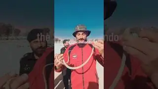 SSG commando playing with the snake # Commando # Pak Army # Brave