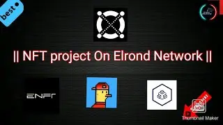 NFT Projects On Elrond Network || You should invest in it !