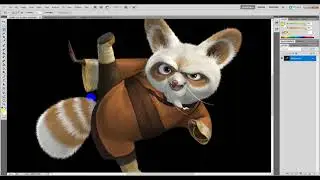 How to use lasso tool in photoshop cs5