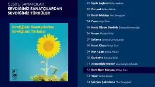 Dom Dom Kurşunu - Hülya Süer