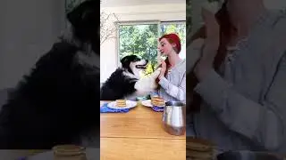 She Is DEFINATELY The Main Character tiktok my aussie gal
