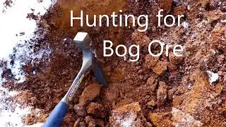 Hunting Bog Ore with Cody'sLab!