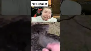 мемас из тик тока