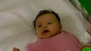 Claudia e le apine