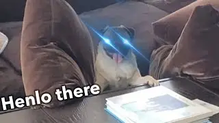 Lola.exe 🗯