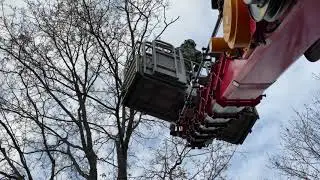 Спил деревьев частями. Вывоз. Автовышка + ломовоз. 8(953)958-18-44