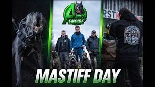 Apex Empire's Mastiff Day (Bite force sleeve)