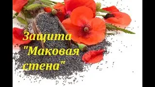 Защита двора или хозяйства 