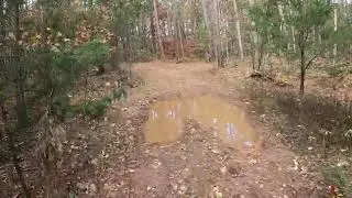Trail Ride in The Ozarks on Honda CRF300L