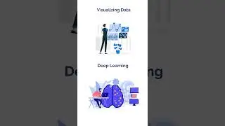 Python vs R: Which Language is Better for Data Science? 