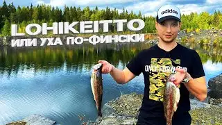 Лохикейтто (Lohikeitto)/Уха по-фински/Лучший рыбный суп со сливками в казане на костре!