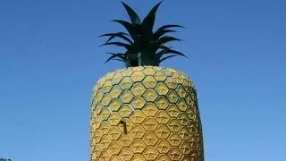 25 WEIRDEST BUILDING IN THE WORLD || BASIC FACTS||