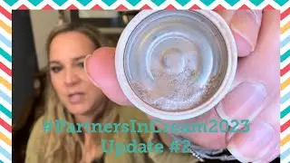 #partnersincream2023