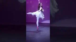 In another life, I could fly #danceacademy