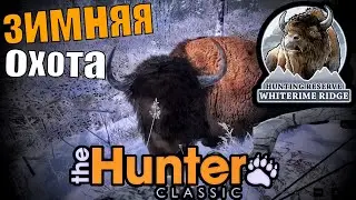 Добыл 6  Бизонов И Ешё Много Трофеев The Hunter Classic