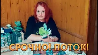 СРОЧНАЯ ИНФОРМАЦИЯ ИЗ ПОТОКА!  ЭТО НУЖНО УСЛЫШАТЬ ПРЯМО СЕЙЧАС!