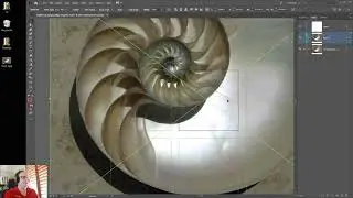 Illustrator-Tracing Layers