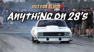 Anything On 28's Eliminations! | Out for Blood 5