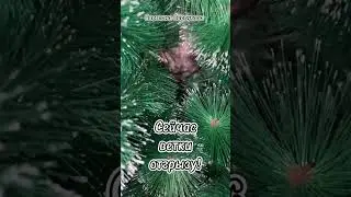 Вот и праздникам конец! 