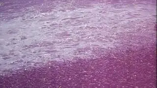 Крым классное видео(58)