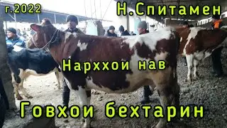 НАРХИ ОЧА БАЧА 06.02.2022 МОЛБОЗОРИ НОВ