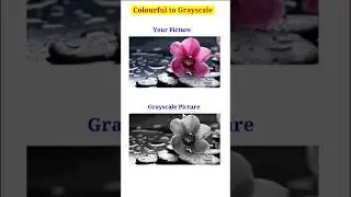 Colourful to Grayscale | python tkinter #tkinterapp