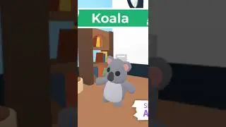 kangaroo frog and koala play a game inspired by president worldle