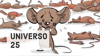 Os Experimentos Com Ratos do Universo 25