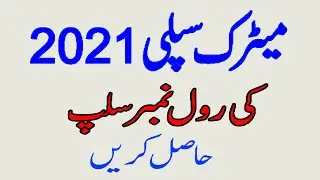 How To Dowload Matric Roll Number Slip Special Exam 2021|10th Class Roll No Slips All Punjab Boards
