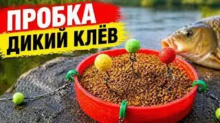 УЛОВИСТАЯ СНАСТЬ ПРОБКА СВОИМИ РУКАМИ