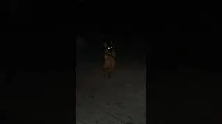 бригаду?