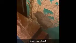 Это прорыв! Жителям сегодня дали тепло в квартиры, но радость была недолгой.