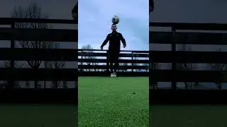 Freestyle Training 