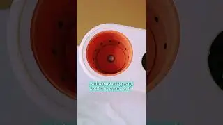 Phanpy Helps You Warm Milk Without Any Water