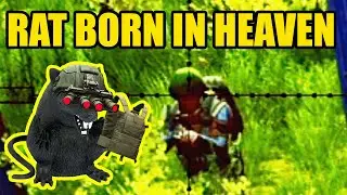 A Rat Born in Heaven || Escape from Tarkov (Customs Ratting)