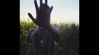 Wallace Cleaver Type Beat 