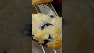 Blueberry Cream Scones