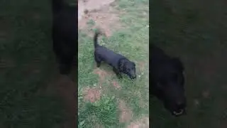 джим