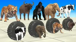 Cow Elephant Gorilla Dinosaur Choose the Right Tire Game with Wild Animals Funny Comedy Video
