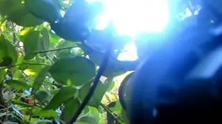 Paintball Sniper Kill With Silencer 10 feet away