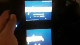 Nyan cat on DSi